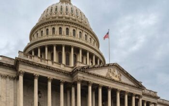 f1ee7088-d3df-4d0b-9244-21d71d23716b_549x529